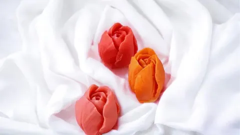 Tulipán
