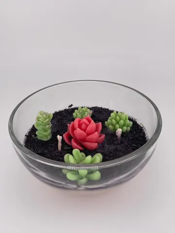 Terrario